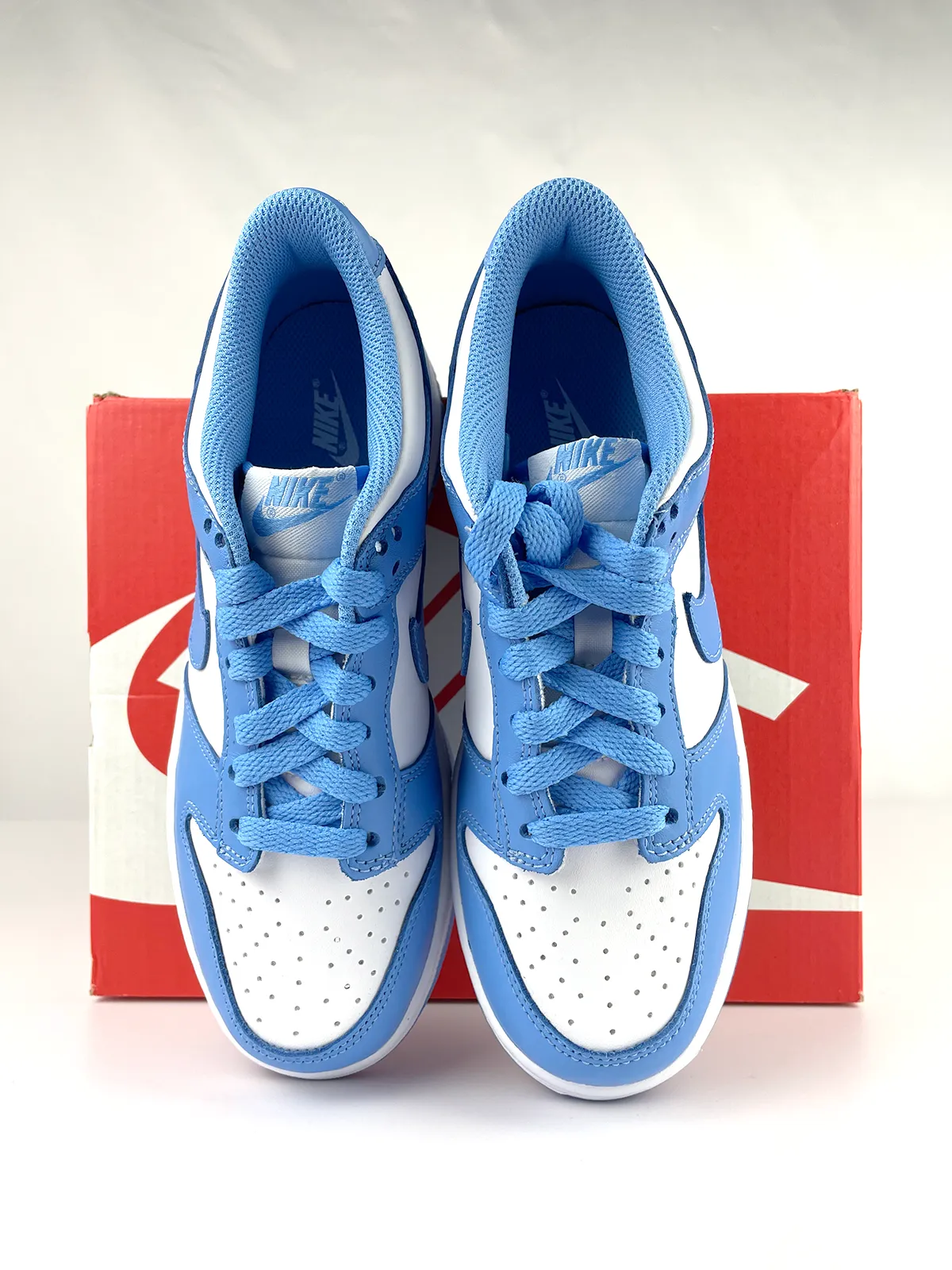 Nike Dunk Low UNC